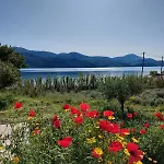 וילה Apollonides Seafront 2 Melete *