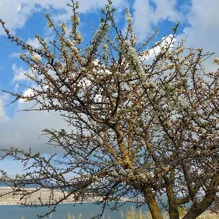 Βίλα Apollonides Seafront 2 Melete Ληξούρι