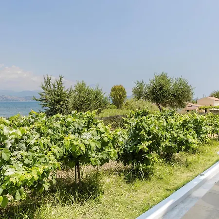 Apollonides Seafront 2 Melete *