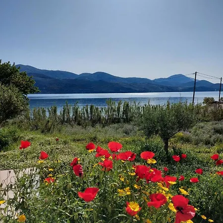 Vila Apollonides Seafront 2 Melete *