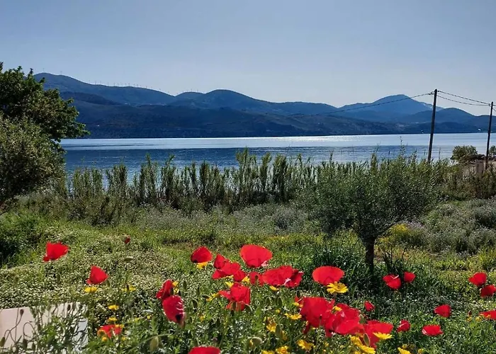 Villa Apollonides Seafront 2 Melete *