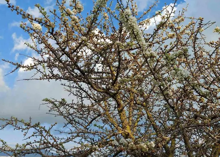 Villa Apollonides Seafront 2 Melete Lixouri