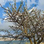 Vila Apollonides Seafront 2 Melete Lixouri